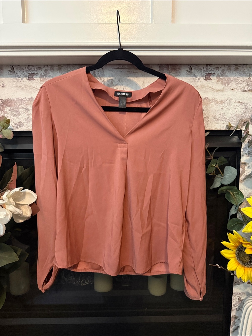 Express Women's Rosewood V-Neck Long Sleeve Blouse